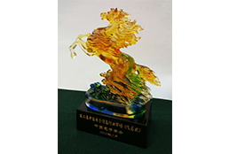 中國電子商務(wù)飛馬獎(jiǎng)