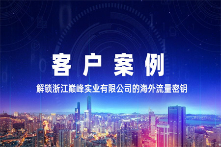 客戶案例丨解鎖浙江巔峰實(shí)業(yè)有限公司的海外流量密鑰