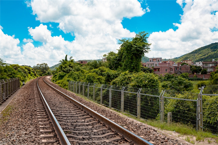 中越班列雙向奔赴駛上國際貿(mào)易“快車道”