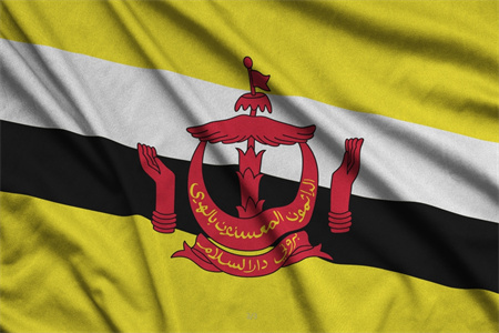 又一國宣布與中國互免簽證，中國和東盟已互為第一大貿(mào)易伙伴！